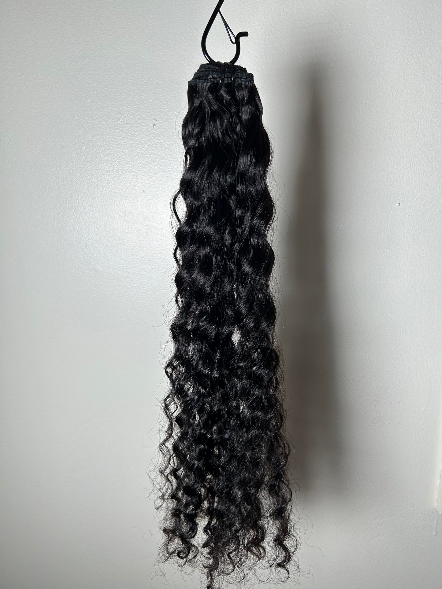 Burmese Deep Curly